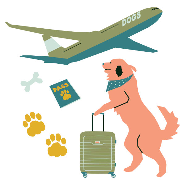 关于旅行狗的主题的一组矢量插图图片下载