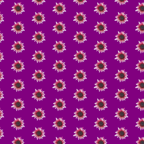 图案与菊花在网格上紫罗兰的背景。花卉背景与几何网格元素图片下载