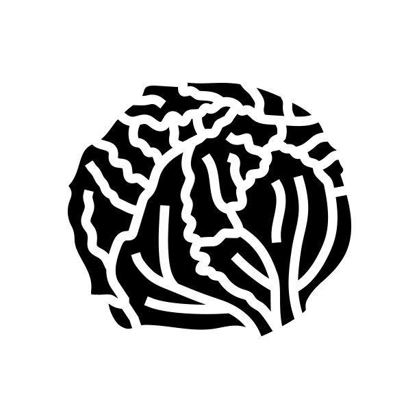 塞伯格沙拉食物象形文字图标矢量插图图片下载