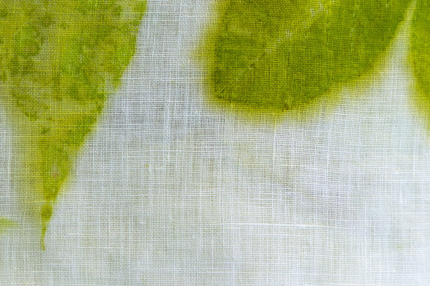 生态打印过程中自然叶片的绿色纹理和图案。图片下载