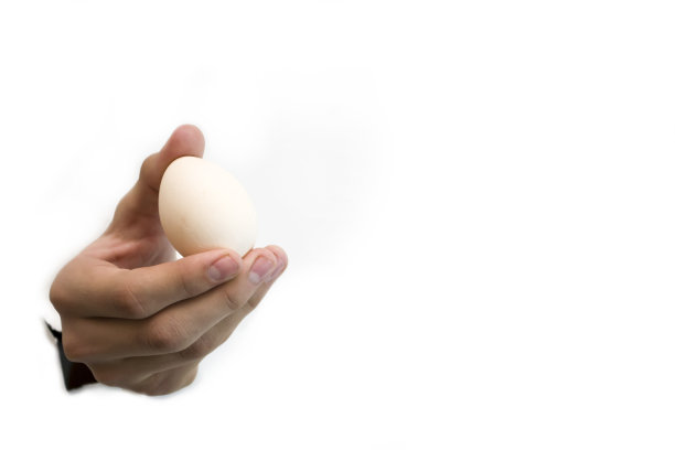 白色背景上的一只手拿着一个鸡蛋。图片下载