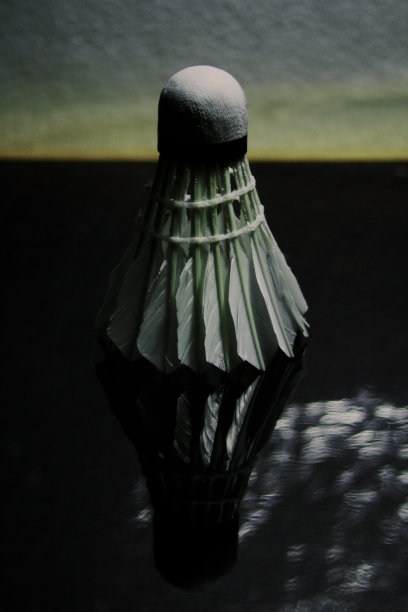 羽毛球黑白概念图片下载