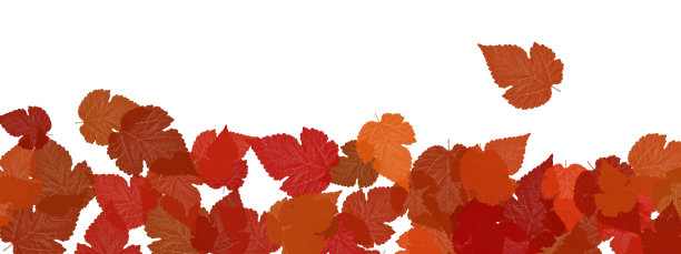 秋天秋天抽象的背景图片下载