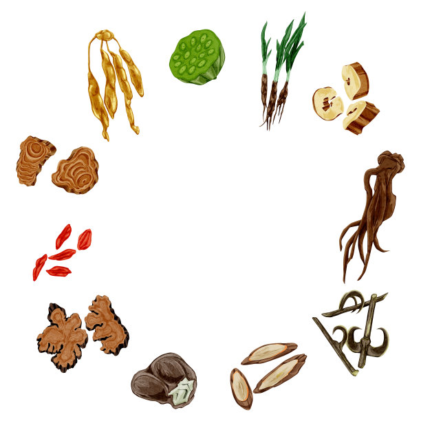 手绘水彩风格的中草药插画图片下载