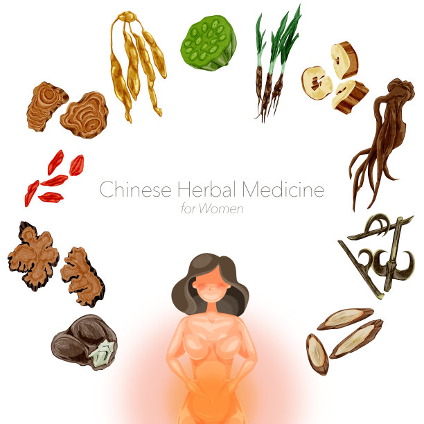 妇女用中草药插图图片下载