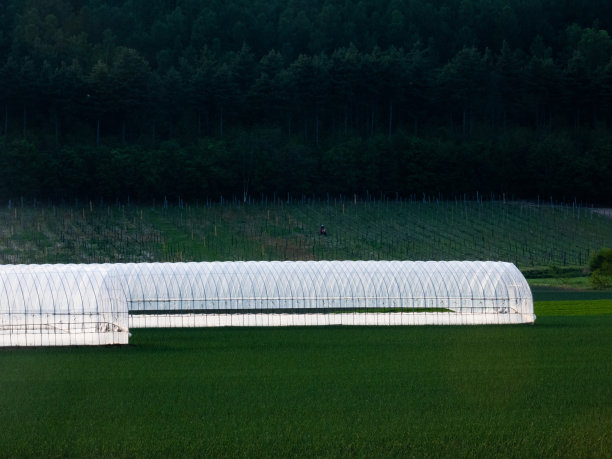 在阴凉处闪闪发光的乙烯基房屋图片下载