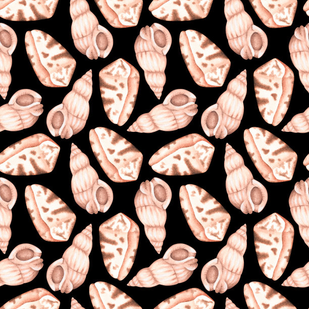 贝壳无缝图案。水彩插图。孤立在黑色背景上。图片下载