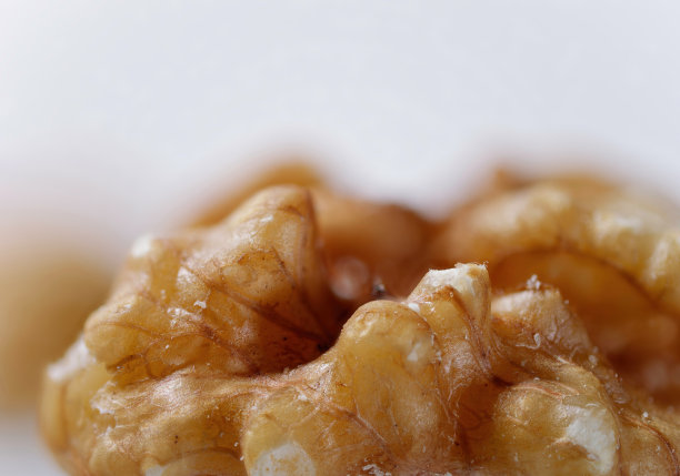 微距照片的新鲜核桃壳在白色背景图片下载