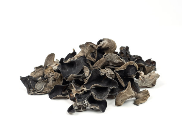 干黑木耳在白色背景图片下载