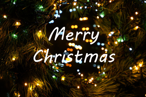 圣诞快乐的文字在冬天常绿的树枝上覆盖着雪与散景灯。图片下载