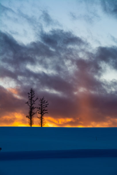 冬林立在山上，在冬天的黄昏和太阳柱图片下载