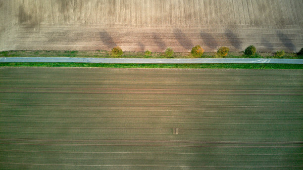 田野间土路的鸟瞰图图片下载