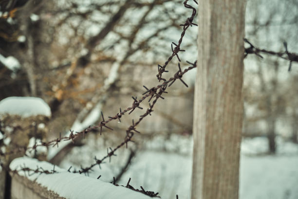 旧铁丝网上的混凝土栅栏在冬天的雪大特写选择性聚焦图片下载