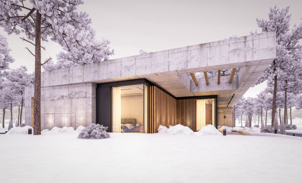 三维渲染的新混凝土房子在冬季晚上的现代风格图片下载