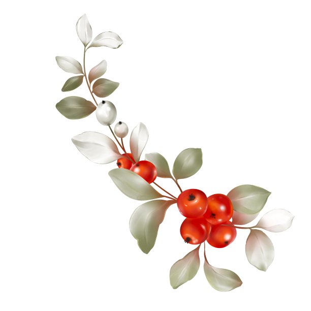 用水彩风格的树枝和浆果为圣诞树上色。图片下载