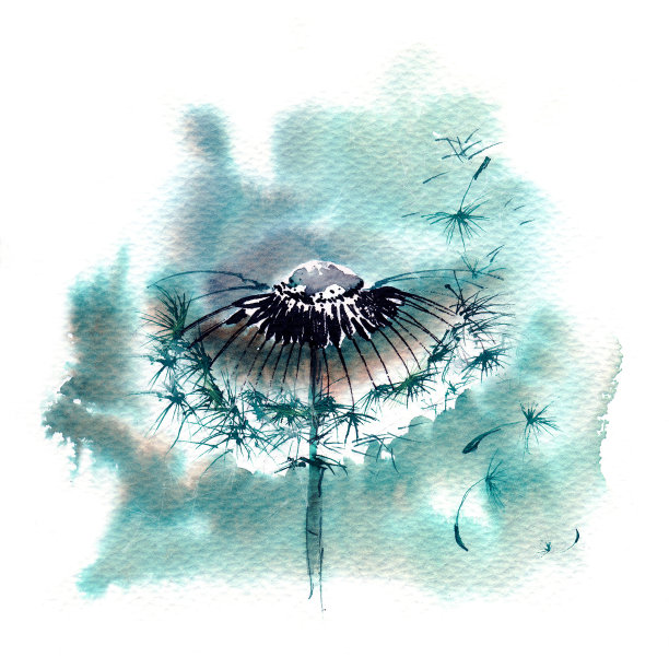 蒲公英花与浮动种子在绿色和粉红色的背景。图片下载