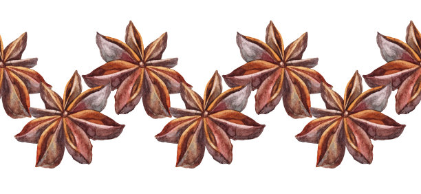无缝边缘水彩baddian在白色背景。手绘调味品茴香甜点或饮料，烹饪书或厨房装饰。香味棕色圣诞食品。墙纸包装的芳香边界图片下载