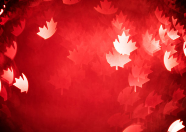 枫叶散焦背景图片下载