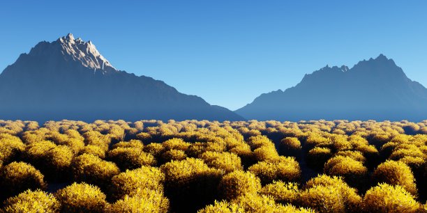 山树木森林户外观黄旅行石南绿色景观季节3d渲染插图壁纸背景图片下载