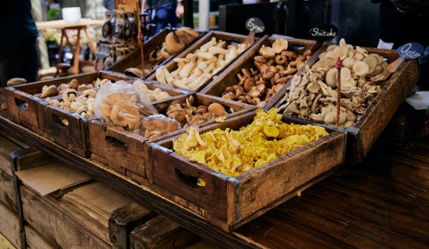 南非开普敦的一个食品市场上的新鲜蘑菇图片下载