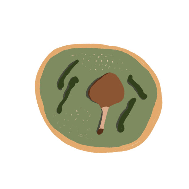 传统的北巴西菜图片下载