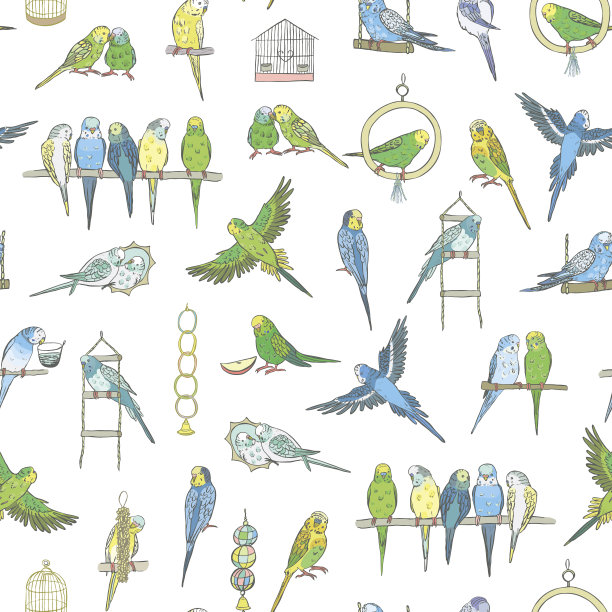 虎皮鹦鹉矢量无缝模式。图片下载