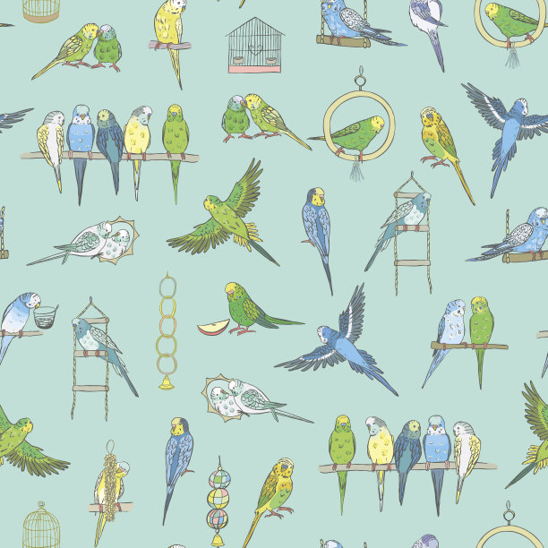 虎皮鹦鹉矢量无缝模式。图片下载