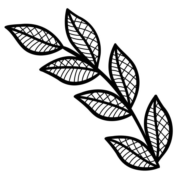 花边装饰元素与花和叶子图片下载