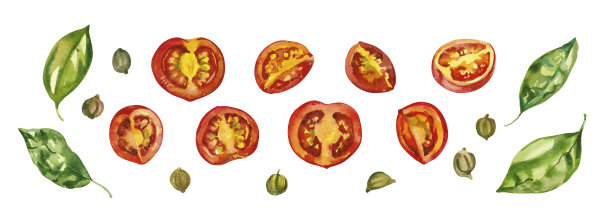 水彩手绘美味的意大利番茄片，罗勒和刺山柑插图孤立在白色背景。图片下载