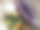 棕色盘子里的健康食物包括鸡蛋、紫色块茎和各种蔬菜，如小玉米、芥末和胡萝卜图片下载