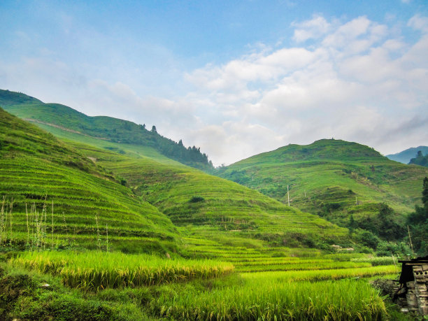 中国南方的梯田景观图片下载