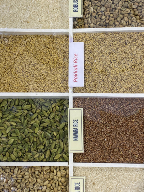 市场摊位托盘展示大米、扁豆和豆类的全帧图像，透明盖子的木质托盘隔间，包括纳瓦拉大米和波卡利大米，高架视图图片下载