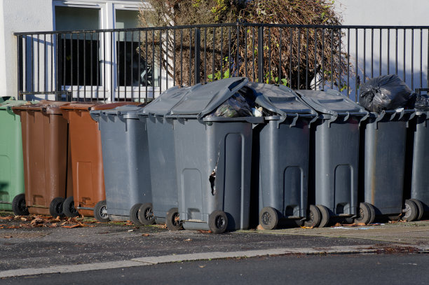 在市政大厦外，有一排有轮垃圾箱供市民收集图片下载