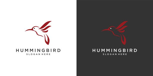 蜂鸟矢量标志设计。鸟类矢量标志设计。图片下载