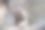 北海道松鼠在树枝上吃坚果图片下载