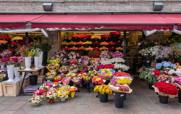 爱沙尼亚塔林花卉市场上丰富的色彩图片下载
