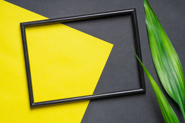有绿色植物的相框。摘要纸底色黄黑。平躺图片下载