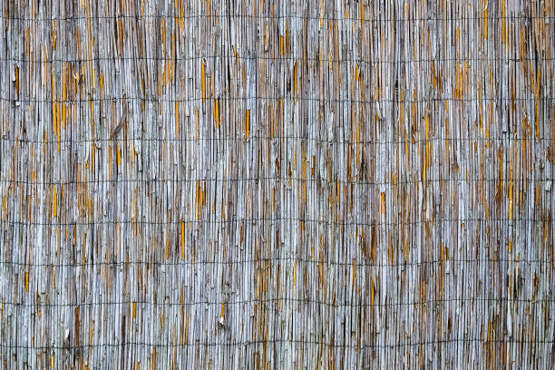 芦苇表面的特写视图。图片下载