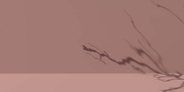 树枝的阴影- 3D渲染图片下载