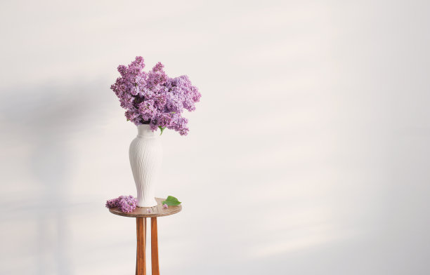 紫丁香花在白色的花瓶背景白墙图片下载