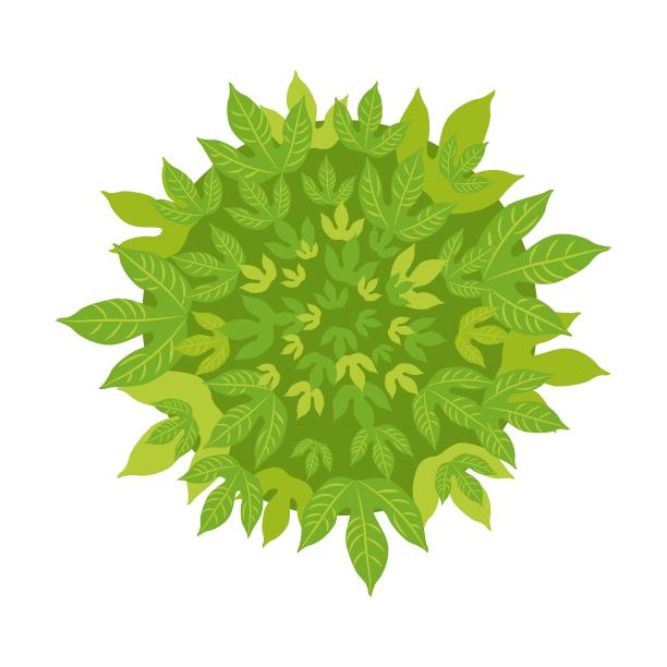 灌木矢量插图，俯视图。景观元素为花园、公园或森林，植物孤立于白色之上图片下载