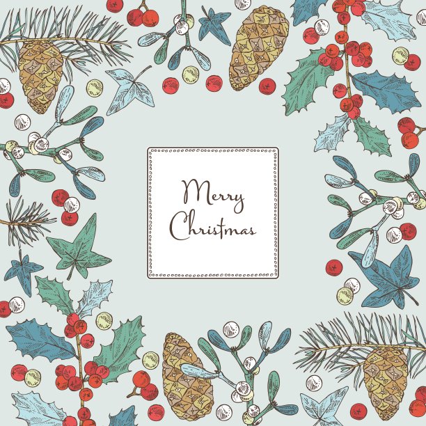 圣诞节和新年背景与圣诞植物。图片下载