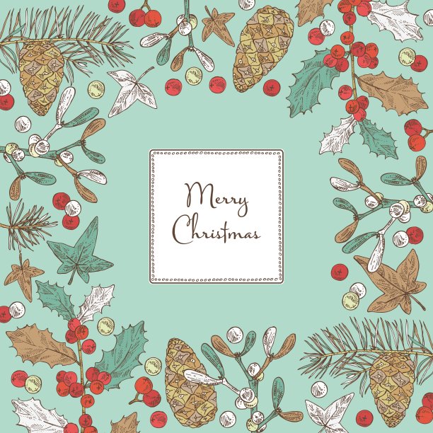 圣诞节和新年背景与圣诞植物。图片下载