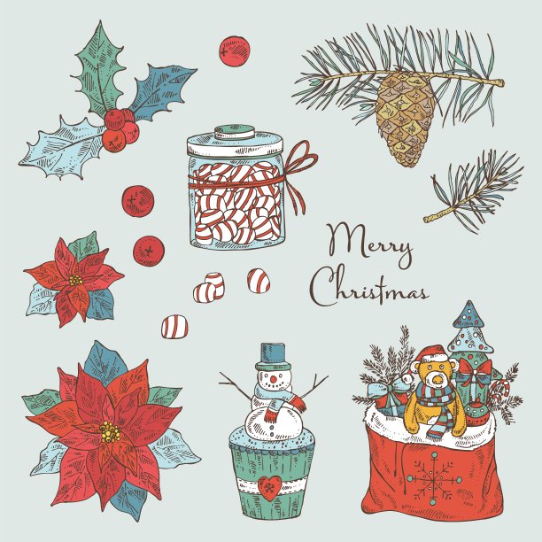 收集圣诞和新年植物和象征。图片下载