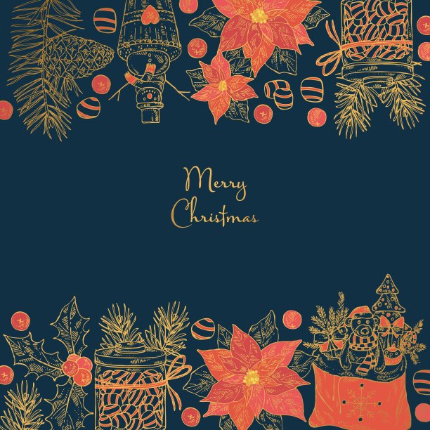 圣诞和新年的背景与圣诞植物和象征。图片下载