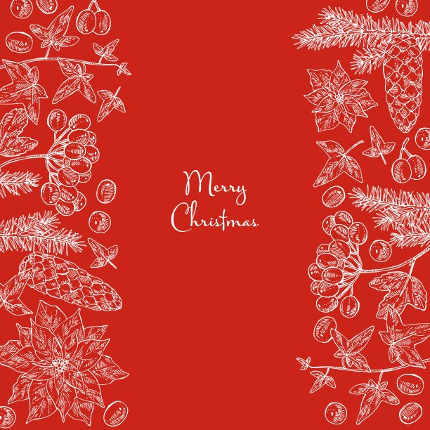 圣诞节和新年背景与圣诞植物。图片下载