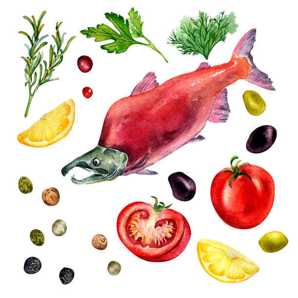 一套红鲑鱼和香料水彩插图孤立在白色。图片下载