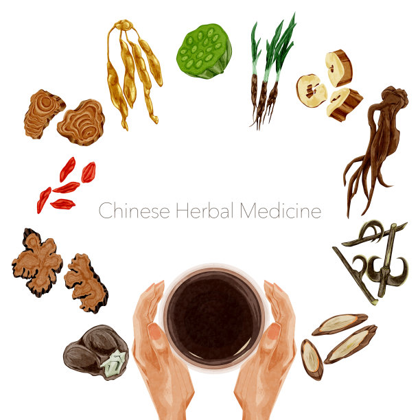 手绘水彩风格的中草药插图图片下载