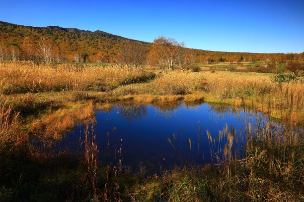 秋叶八幡台图片下载