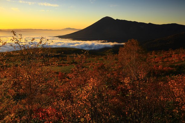 日出时的岩手山和云海图片下载